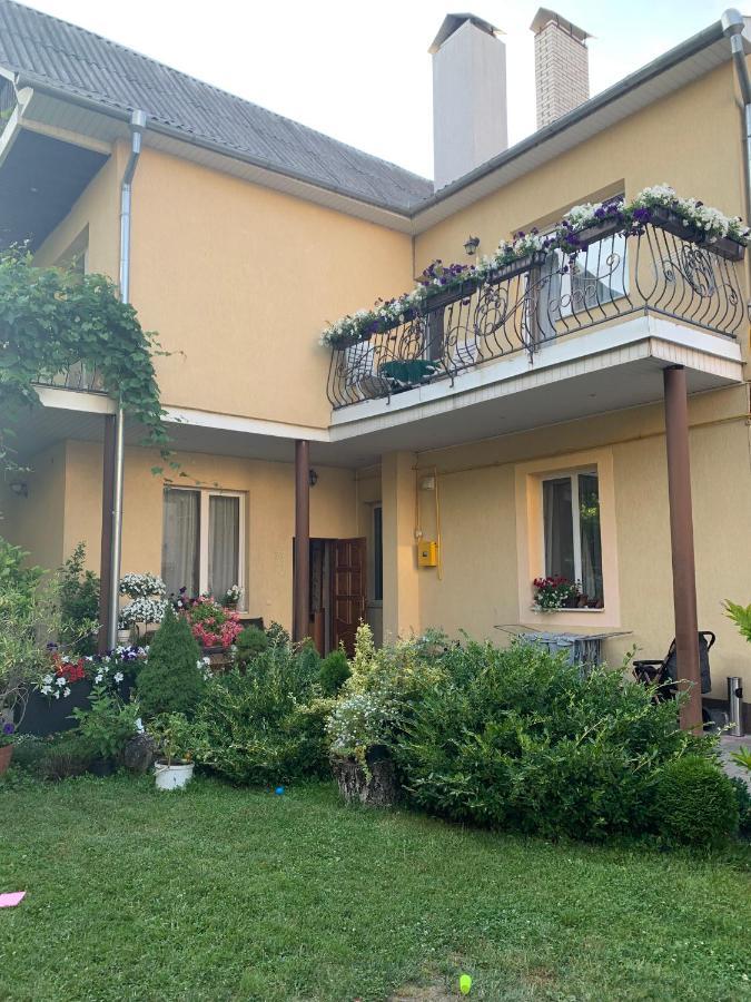 Villa Celebrity Kam'janec'-Podil's'kyj Esterno foto