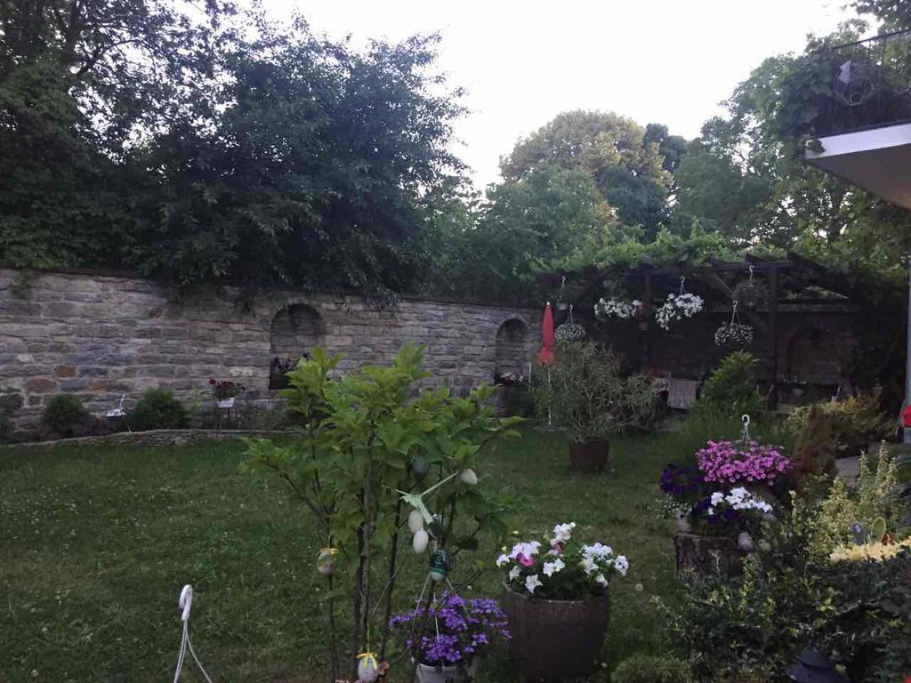 Villa Celebrity Kam'janec'-Podil's'kyj Esterno foto
